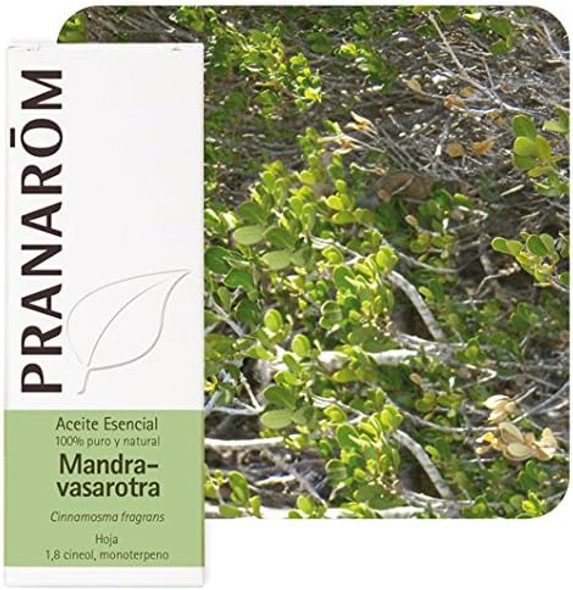 Pranarôm Essential Oil Mandravasarotra (Cinnamosma Fragrans) 10 Ml Pranarôm Essential Oil Mandravasarotra (Cinnamosma Fragrans) 10 Ml
