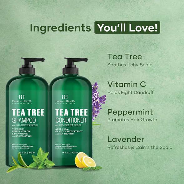 Botanic Hearth Tea Tree Shampoo and Conditioner Set - with 100% Pure Tea Tree Oil, for Itchy and Dry Scalp, Sulfate Free, Paraben Free - for Men and Women - 16 fl oz each
