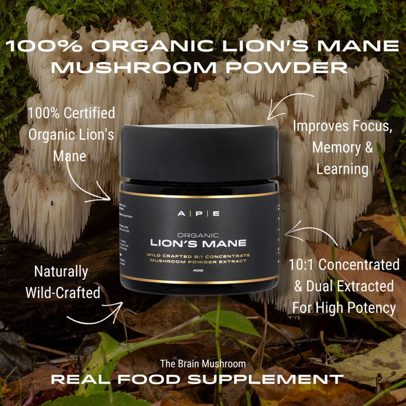 APE Nutrition Organic Lion’s Mane Mushroom Extract Powder - Certified Organic & Wild Crafted Improves Memory & Focus UK Supplements Pure Concentrated Extract 40G