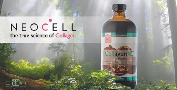 Neocell Laboratories Collagen +C Pomegranate Liquid, Pack of 2-16 oz (32 oz Total)