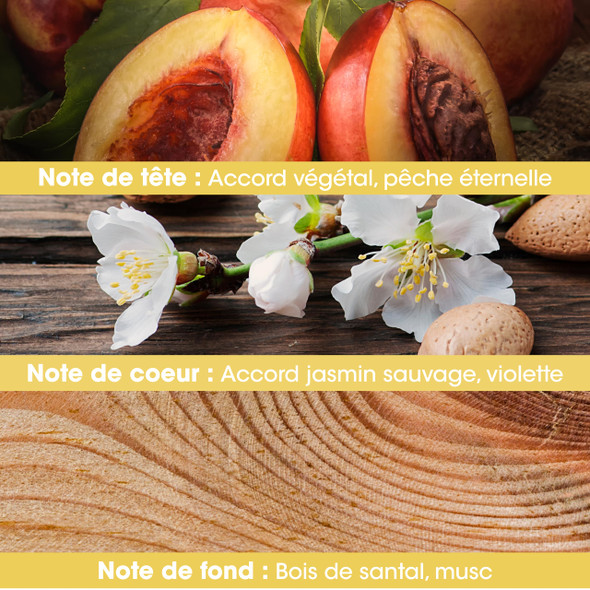 Jeanne En Provence Jasmin Secret Edp 60 ML