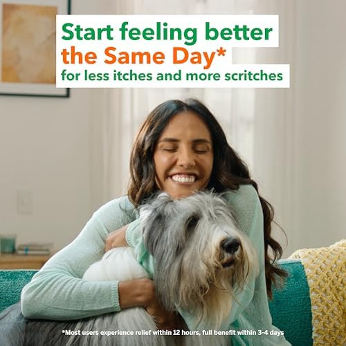 Flonase Allergy Relief Nasal Spray 24 Hour Non Drowsy Allergy Medicine Metered Nasal Spray 144 Sprays Fall And Seasonal Allergy Relief