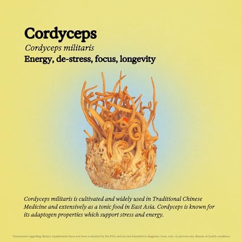 Rainbo Alcohol Mushroom Stress Relief Bundle Cordyceps Mushroom Extract + Reishi Mushroom Tincture Dual Extract Daily Mushroom Tinctures For Immune Support Vegan Liquid Mushroom Supplements