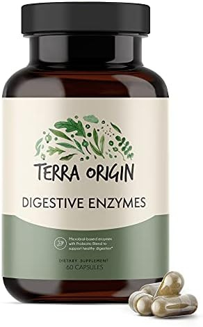 Terra Origin Digestive Enzymes With Probiotics & Prebiotics 60 Capsules Supports Digestive Gut Health Non Gmo Gluten Vegan For Women And Men