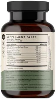 Terra Origin Healthy Stress Supplement 60 Capsules Ksm66 Organic Ashwagandha Ltheanine Rhodiola Extract Astragalus Root And Holy Basil Stress And Mood Support