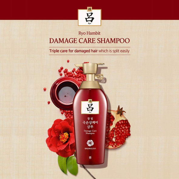 Ryo Hambit Damage Care Shampoo