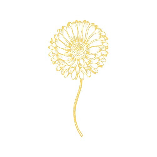 Senna Oil-Free Makeup Remover