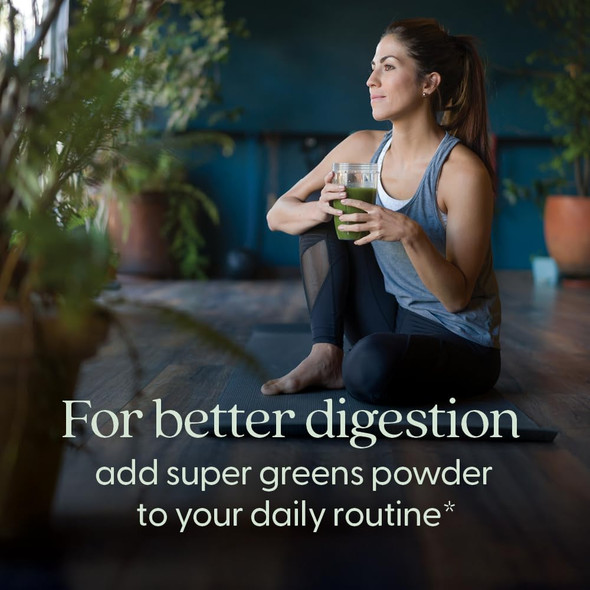 New Chapter All-Flora Digestive Super Greens Powder for Gut Health - Clinical-Strength Digestive Enzymes + USDA Organic Chlorella Spirulina Fermented Greens – Delicious & 100% Vegan 30 Servings