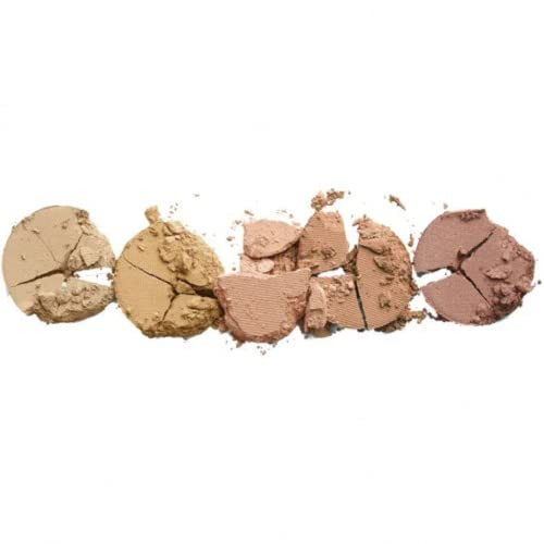 Colorescience Mineral Corrector Palette Spf 20 1 Count (Pack Of 1)