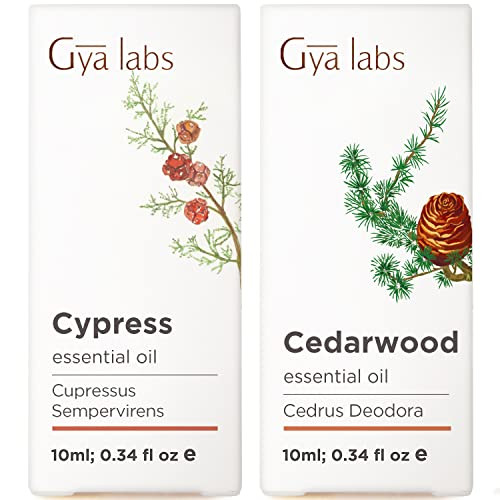 Gya Labs Cypress Essential Oil For Skin & Cedarwood Oil For Hair Set - Aromatherapy Grade Essential Oils Set - 2X10Ml - Gya Labs