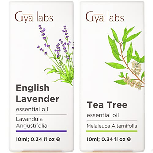 Gya Labs Lavender Oil Essential Oil For Diffuser & Tea Tree For Skin Set - Aromatherapy Grade Essential Oils Set - 2X0.34 Fl Oz - Gya Labs