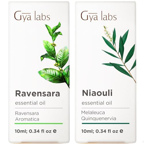 Gya Labs Ravensara Essential Oil Diffuser & Niaouli Essential Oil Diffuser Set - Aromatherapy Grade Essential Oils Set - 2X0.34 Fl Oz - Gya Labs