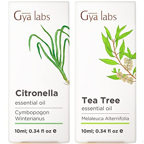 Gya Labs Citronella & Tea Tree Essential Oil Set - Aromatherapy Grade Essential Oils Set - 2X0.34 Fl Oz - Gya Labs