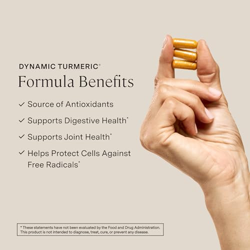 Stonehenge Health Dynamic Turmeric Curcumin With Ginger - High Potency - 1650 Mg Turmeric With 95% Curcuminoids & Bioperine 90 Vegetarian Capsules
