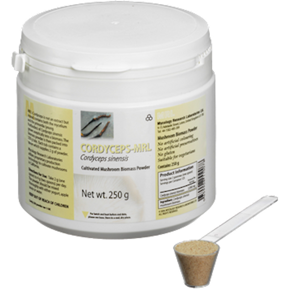 Cordyceps-MRL 250 gms by Mycology Research Labs