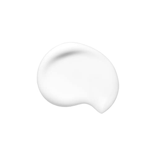 Shiseido Synchro Skin Soft Blurring Primer Conceals Visible Pores Controls Oil and