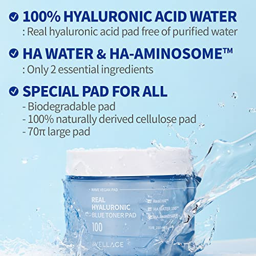 Wellage Real Hyaluronic Blue 100 Toner Pad For Deep Hydration And Gentle 70Pads