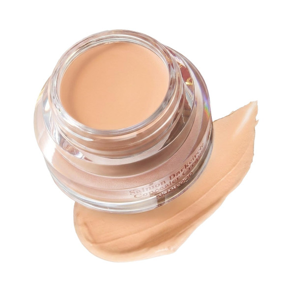 SKINFOOD Salmon PDRN Dark Circle Concealer Cream - Under Eye Concealer for Dark Spots and Wrinkles, Full Coverage, Stocking Stuffer, 10 g (0.35 Oz)
