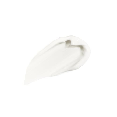 Sisley Paris Sisleyum Antiaging Comfort Cream Smooths Soothes And Hydrates For Normaltodry Male Skin Non Sticky Non Shiny Light Fragrance With Woody Notes 50 Ml