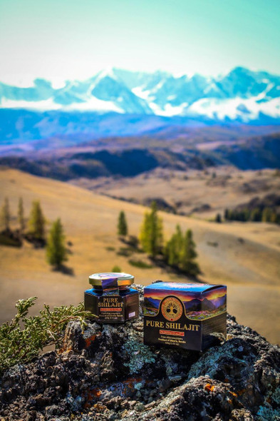Siberian Treasure Pure Authentic Shilajit Siberian Mumijo Resin, 100 grams, 3.5 OZ