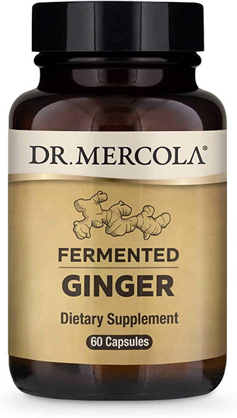 Dr. Mercola Fermented Ginger Beer, 0.5 Ounce