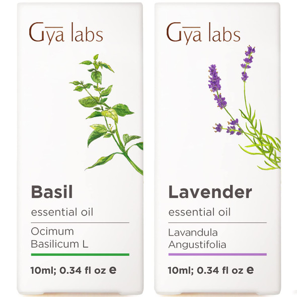 Gya Labs Basil and Lavender Essential Oil For Diffuser Set Aromatherapy Grade Essential Oils Set 2X0.34 Fl Oz Gya Labs