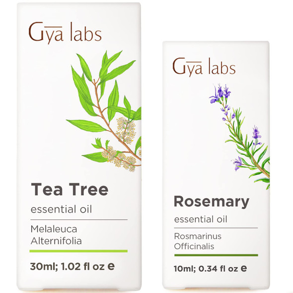 Gya Labs Tea Tree Oil For Skin and Rosemary Oil For Hair Set Aromatherapy Grade Essential Oils Set Gya Labs 30Ml 10Ml