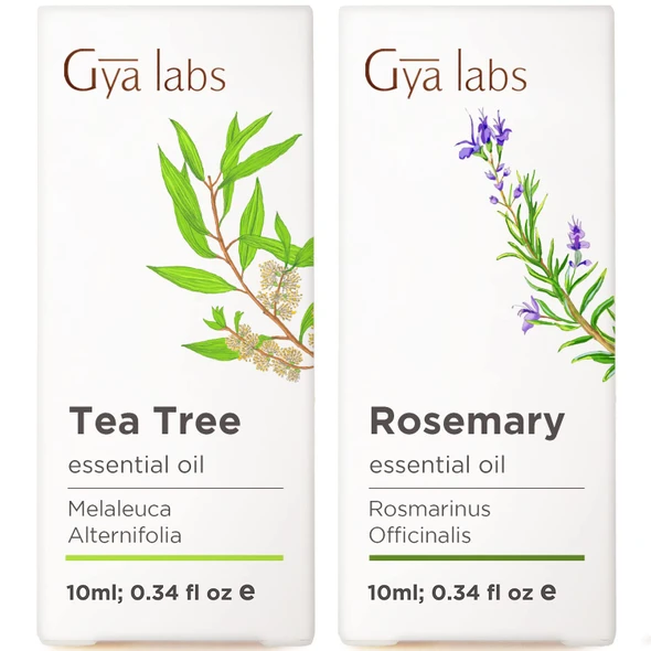 Gya Labs Tea Tree Oil For Skin and Rosemary Oil For Hair and Scalp Set Aromatherapy Grade Essential Oils Set 2X0.34 Fl Oz Gya Labs
