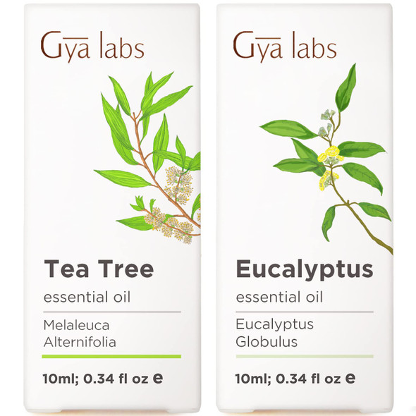 Gya Labs Tea Tree Oil For Skin and Eucalyptus Essential Oil For Diffuser Set Aromatherapy Grade Essential Oils Set 2X0.34 Fl Oz Gya Labs