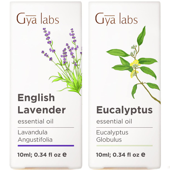 Gya Labs English Lavender Essential Oil For Diffuser and Eucalyptus Essential Oils For Diffuser Set Aromatherapy Grade Essential Oils Set 2X0.34 Fl Oz Gya Labs