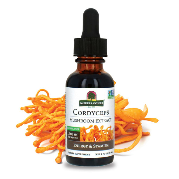 Nature'S Answer Cordyceps Mushroom Extract Alcohol 1 Fl Oz 30 Ml