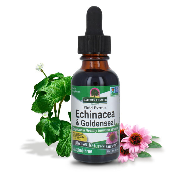 Nature'S Answer Echinacea and Goldenseal Liquid Extract Drops Alcohol 1 Ounce Promotes Overall Wellness Natural Immune Booster Inflammatory Reducer