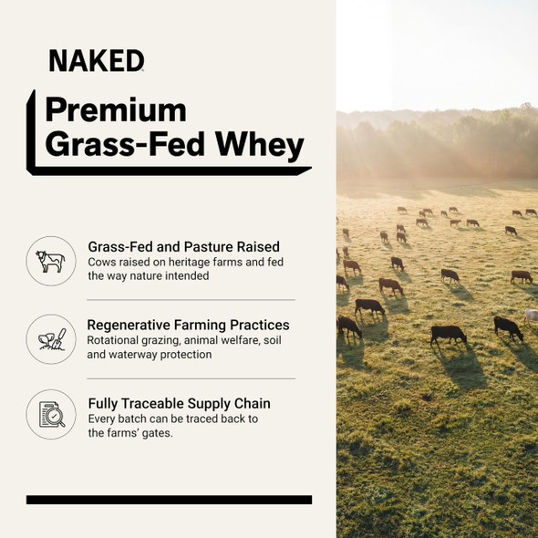 NAKED Whey Chocolate Protein Powder  Only 3 Ingredients  Grass Fed Whey Protein Powder Organic Chocolate and Organic Coconut Sugar NSF Certified No GMO No Soy and Gluten Free  24 Servings