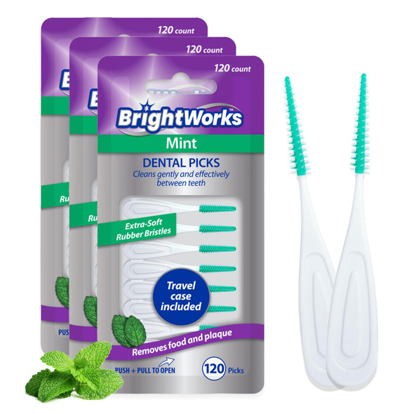 Brightworks Mint Dental Floss Picks 3 Packs Soft Bristles Travel Case 360Ct