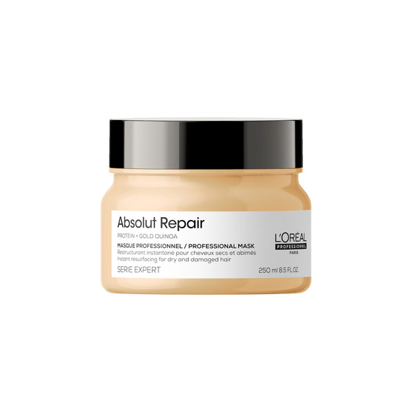 LOreAl Professionnel Paris LOreAl Professionnel Absolut Repair Mask For Dry Hair 8.5 Fl Oz