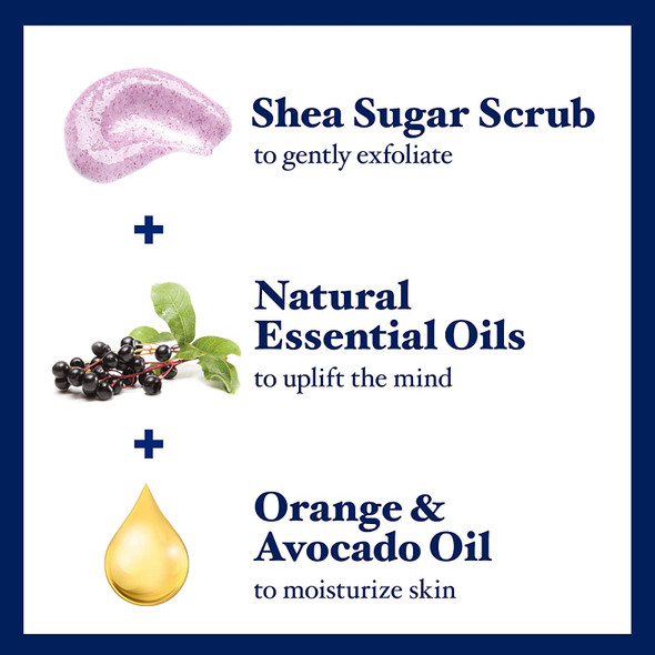 Dr Teal's Shea Sugar Body Scrub, Black Elderberry with Essential Oils, 19 oz (Pack of 3)