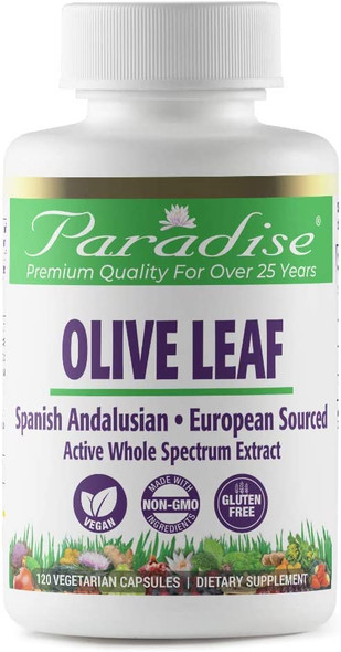 Paradise Olive Leaf Extract | True European Sourced Spanish Andalusian Olive Trees | 18% Oleuropein Resveratrol | Active Whole Spectrum | Vegan | NON-GMO | Gluten Free | 120 Vegetarian Capsules