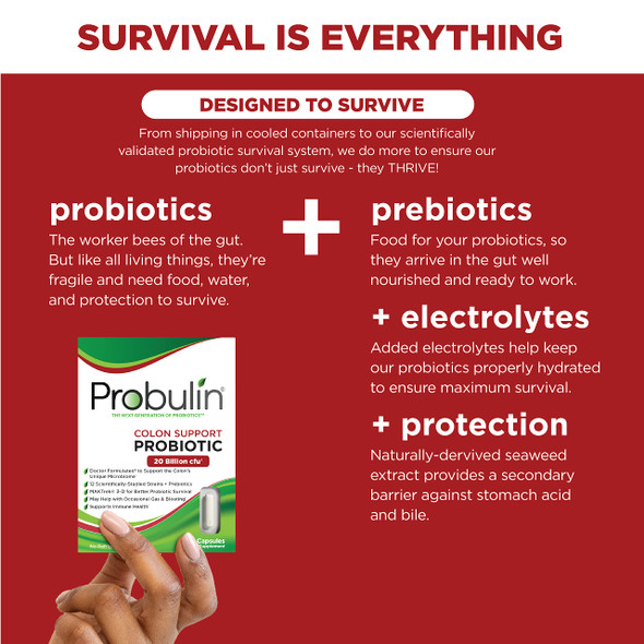 Probulin Colon Support Daily Probiotic Supplement 60 Capsules