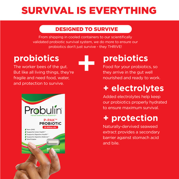 Probulin PPAK Probiotic for Colon Support 20 billion CFU 10 Capsules