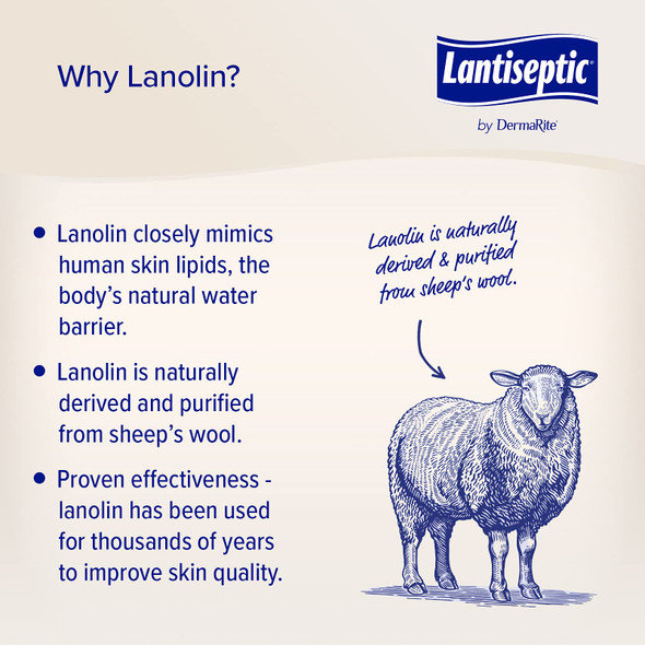 Lantiseptic Moisture Shield Original Skin Protectant 50 Lanolin Enriched Skin Protectant Barrier Cream for Incontinence Paraben Free 1 Jar 4.5oz