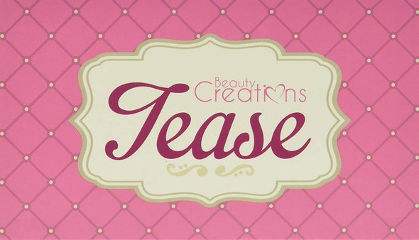 TEASE Eyeshadow Palette  Beauty Creations TEASE Tone Shadows with Brush Palette