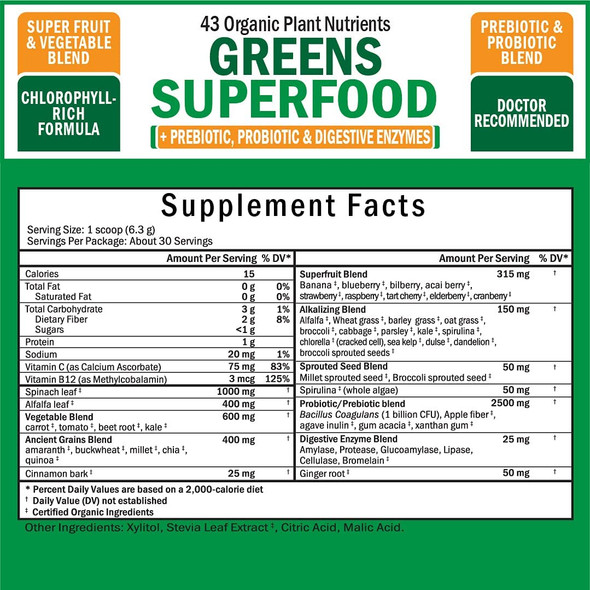 Super Greens Superfood Powder  Greens Powder with Probiotics Prebiotics Digestive Enzymes and 43 Green Superfoods  Chlorophyll Bilberry Chlorella Spirulina Grass  Tastes Amazing  30 Servings