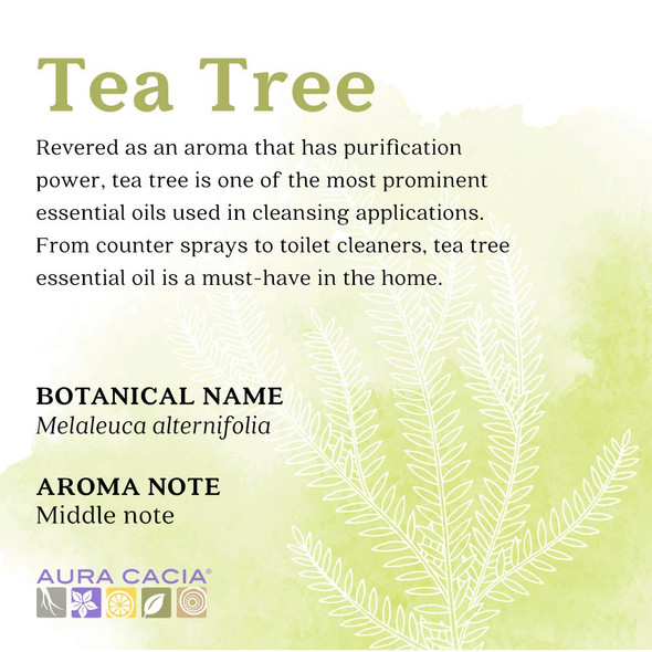 Aura Cacia 100 Pure Tea Tree Essential Oil  GC/MS Tested for Purity  120 ml 4 fl. oz.  Melaleuca alternifolia