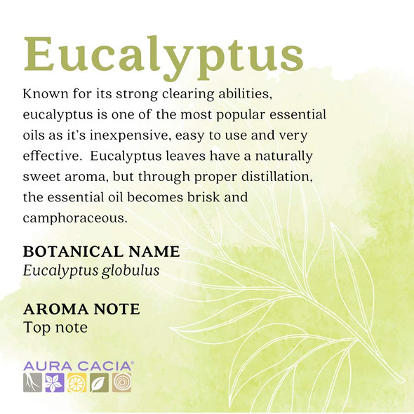 Aura Cacia 100 Pure Eucalyptus Essential Oil  GC/MS Tested for Purity  15 ml 0.5 fl. oz. in Box with Uses Insert  Eucalyptus globulus