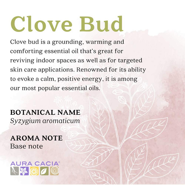 Aura Cacia 100 Pure Clove Bud Essential Oil  GC/MS Tested for Purity  15 ml 0.5 fl. oz. in Box  Syzygium aromaticum