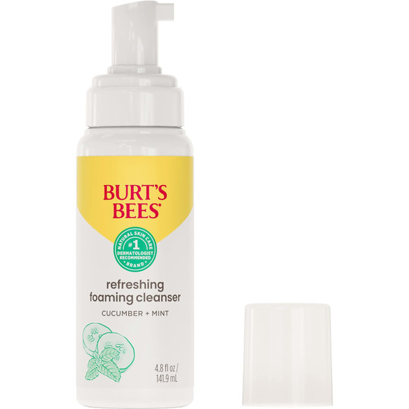 Burt'S Bees Skin Nourishment Gentle Foaming Cleanser 4.8 Oz