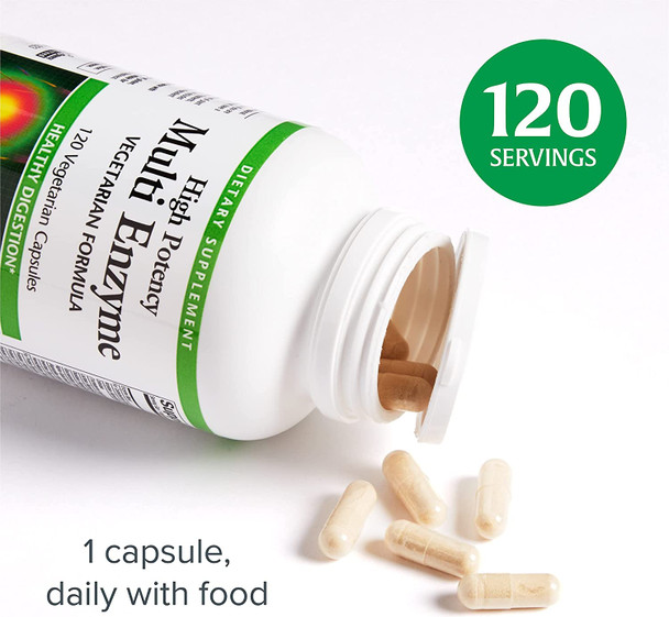 Natural Factors High Potency Multi Enzyme Vegetarian Formula PlantBased Digestive Aid 120 Capsules