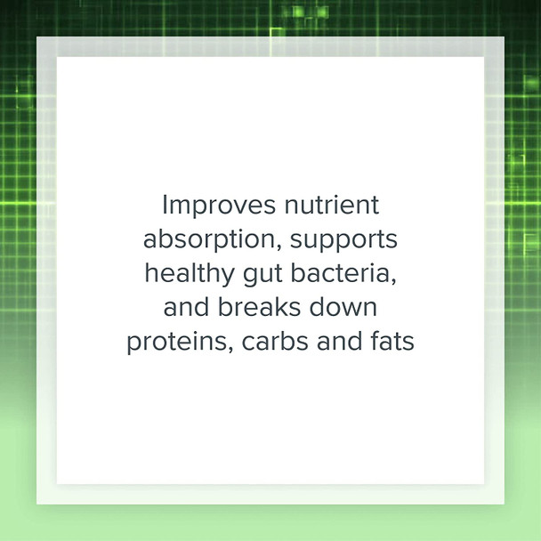 Natural Factors High Potency Multi Enzyme Vegetarian Formula PlantBased Digestive Aid 120 Capsules