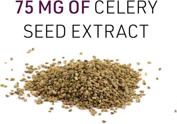 Celery Seed Extract by Natural Factors Herbal Supplement for a Healthy Circulatory System 120 Capsules