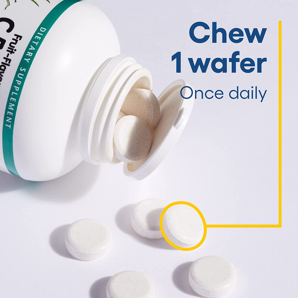 Natural Factors Vitamin C 500 mg Kids Chewable Vegan Tropical 90 Wafers Natural Factors Vitamin C 500 mg Kids Chewable Vegan Tropical 90 Wafers